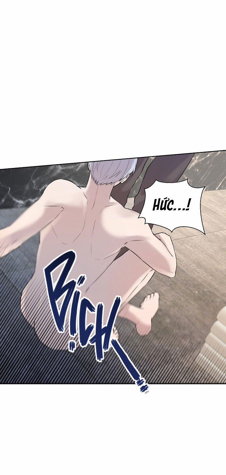 Viên Đạn Vàng 4 trang 6