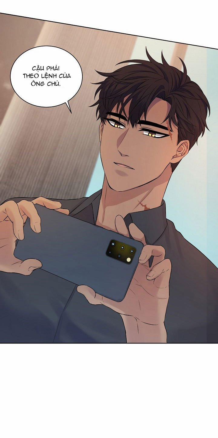 Viên Đạn Vàng 5 trang 4