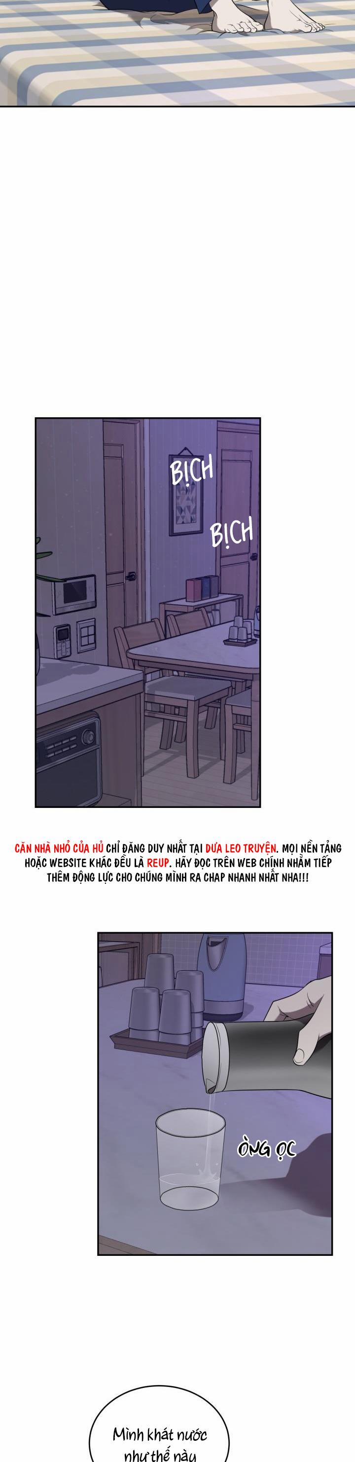 Vivarium 41 trang 15