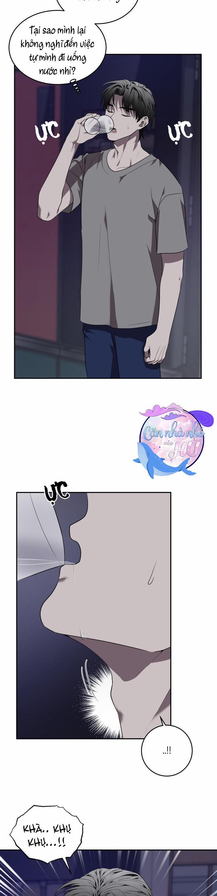 Vivarium 41 trang 16