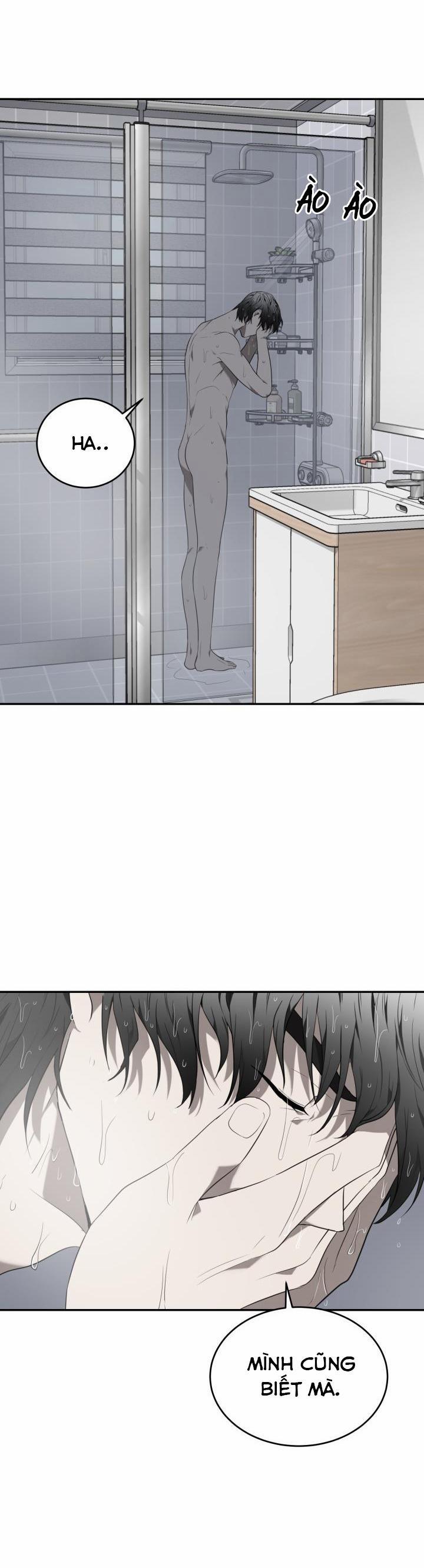 Vivarium 41 trang 28