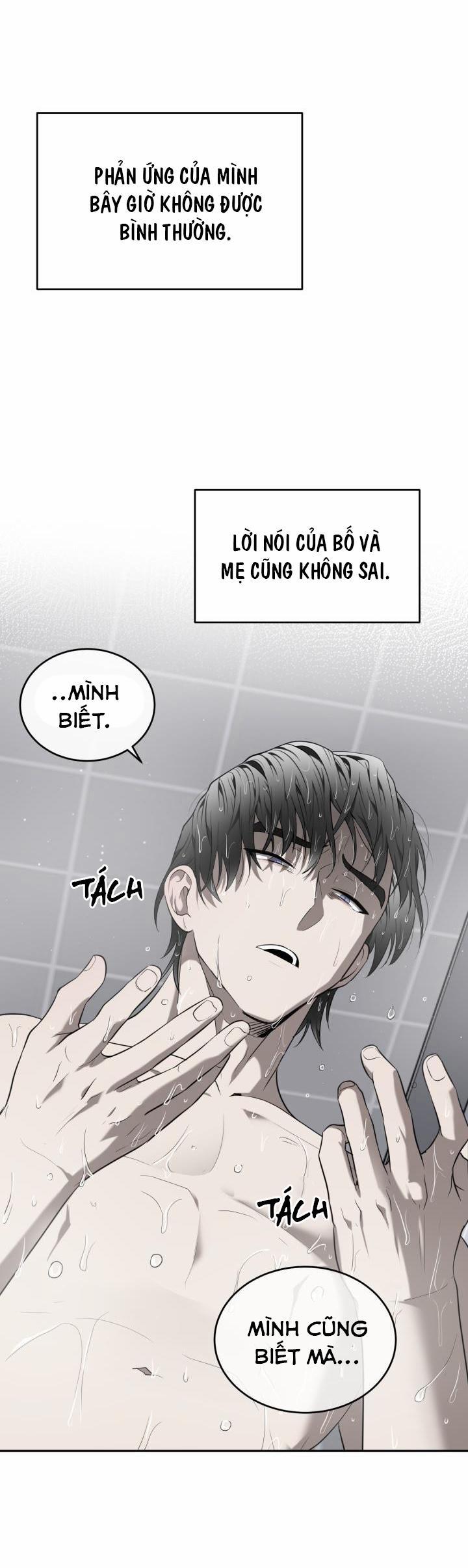 Vivarium 41 trang 29