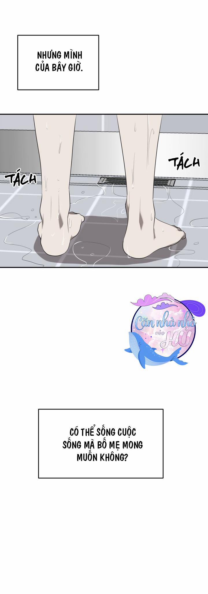 Vivarium 41 trang 30