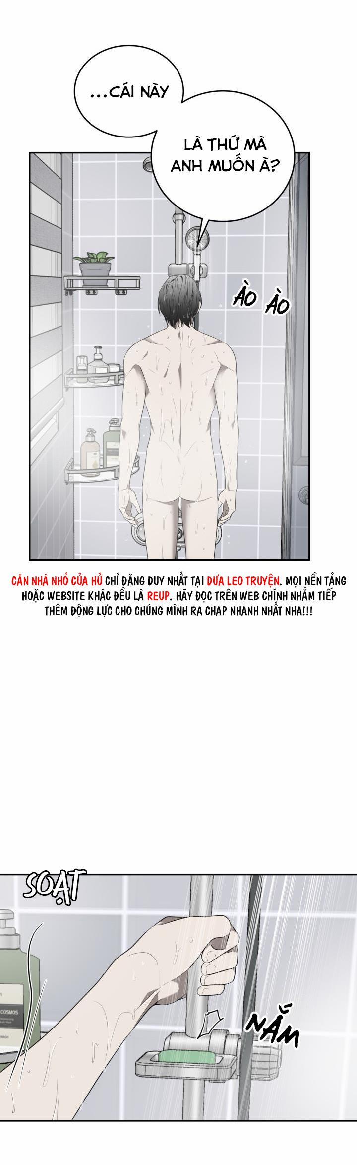 Vivarium 41 trang 31