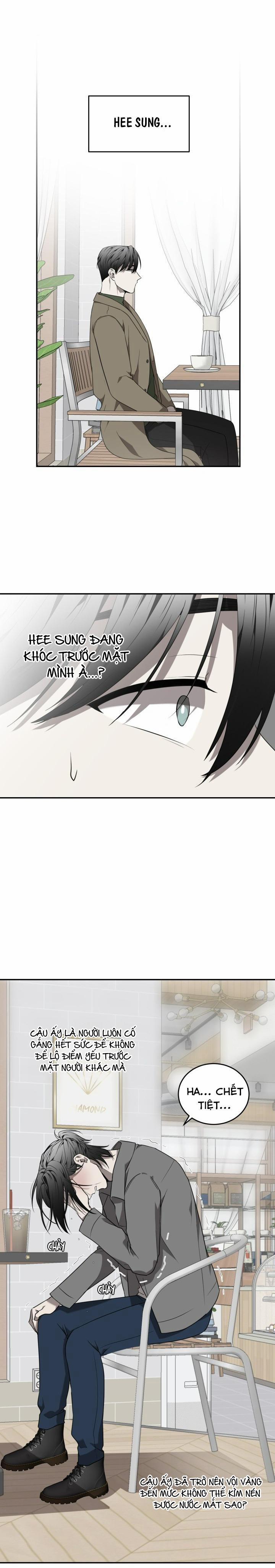 Vivarium 43 trang 17