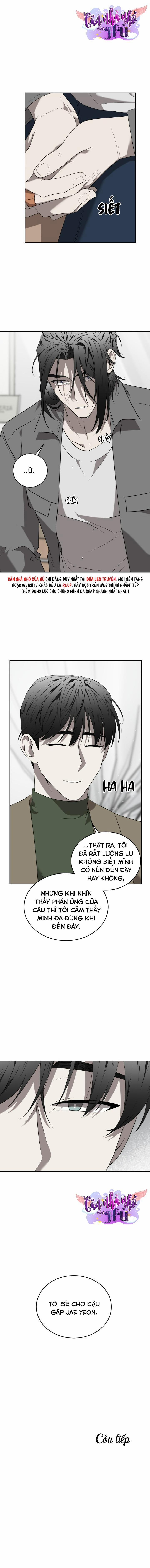 Vivarium 43 trang 20