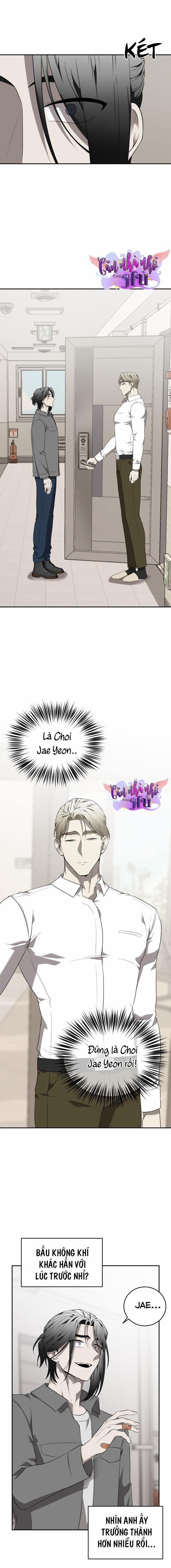 Vivarium 44 trang 12