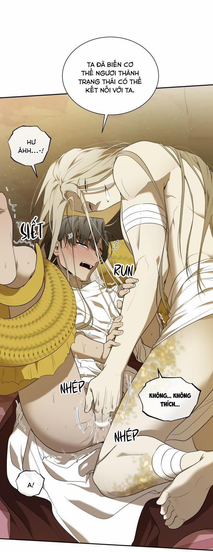 Vivarium 51 trang 12