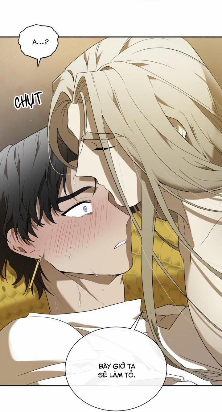 Vivarium 51 trang 14