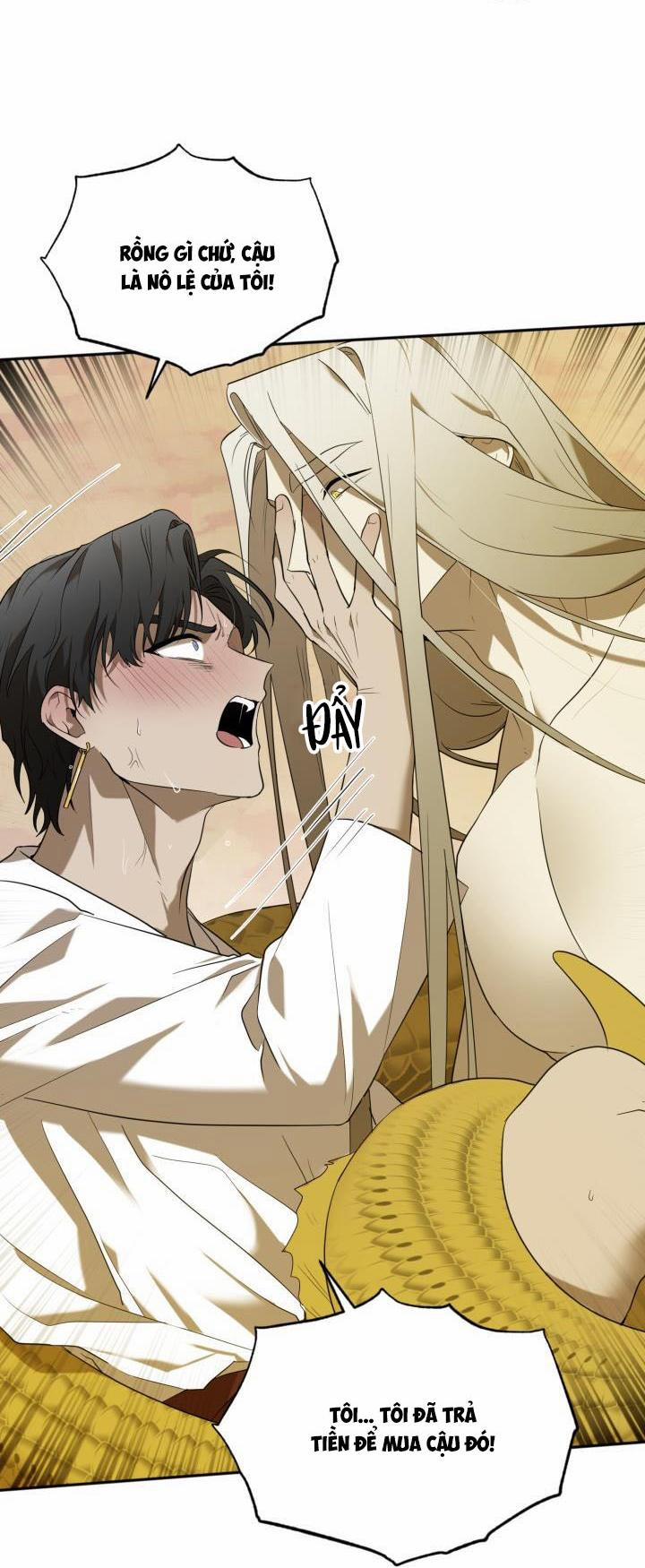 Vivarium 51 trang 16