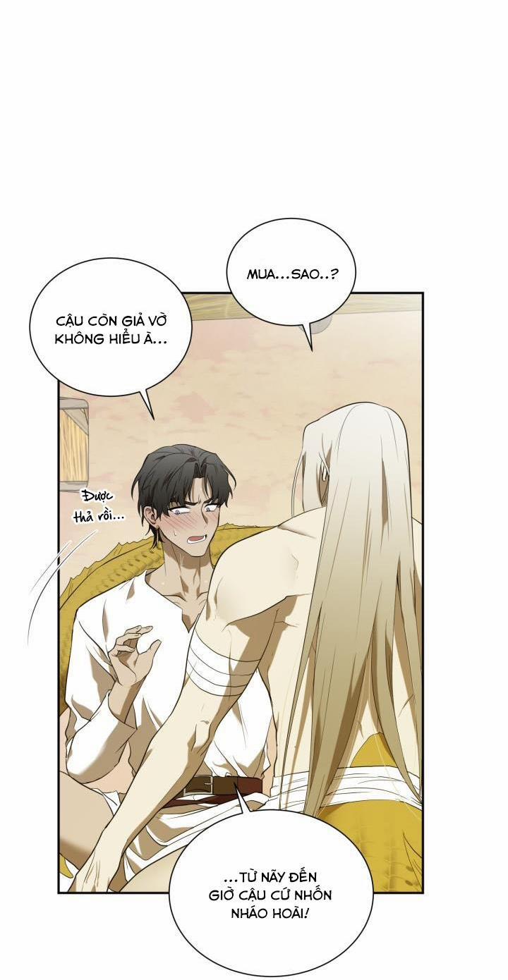 Vivarium 51 trang 17