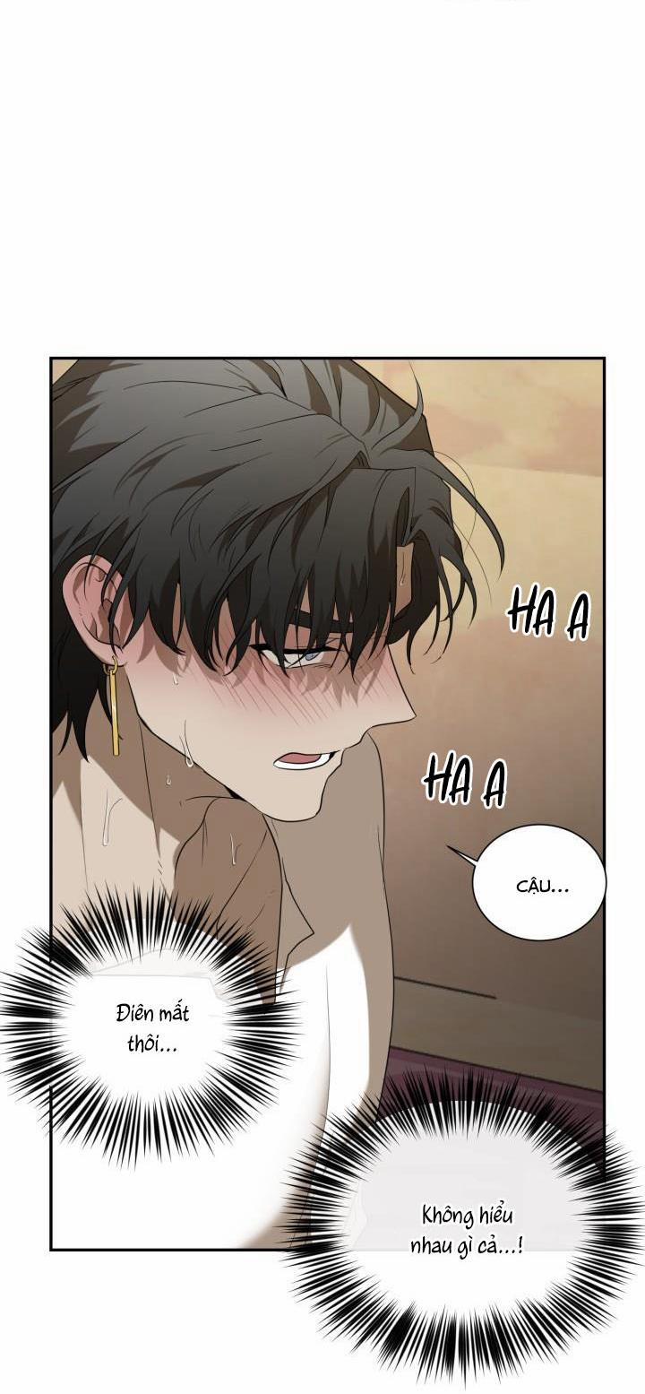 Vivarium 51 trang 20