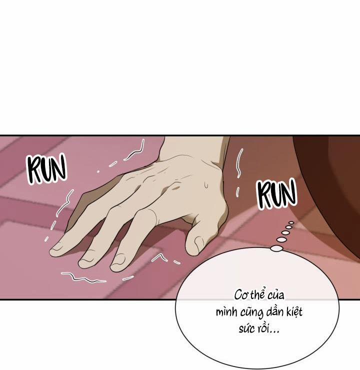 Vivarium 51 trang 21