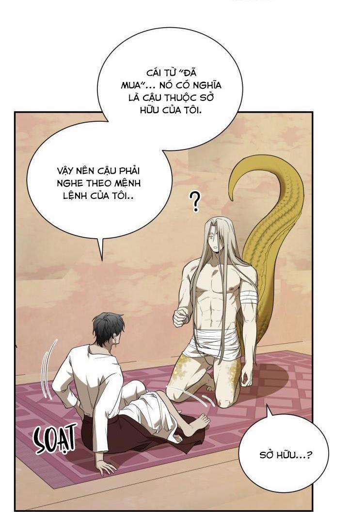 Vivarium 51 trang 22