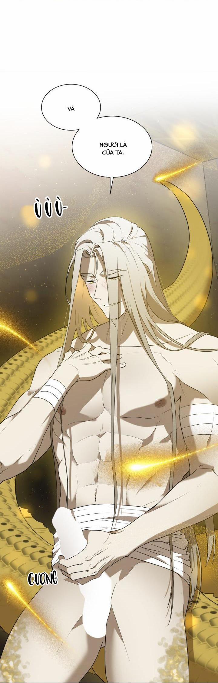 Vivarium 51 trang 26