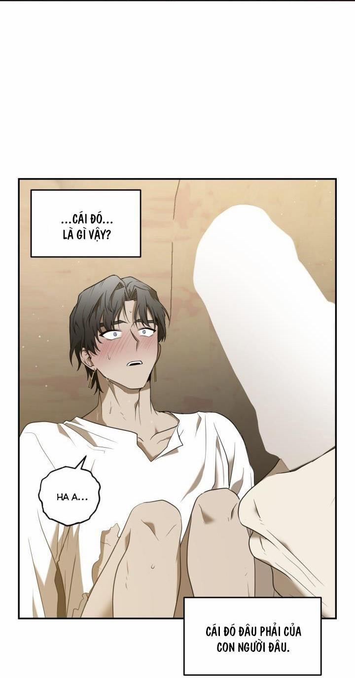 Vivarium 51 trang 27