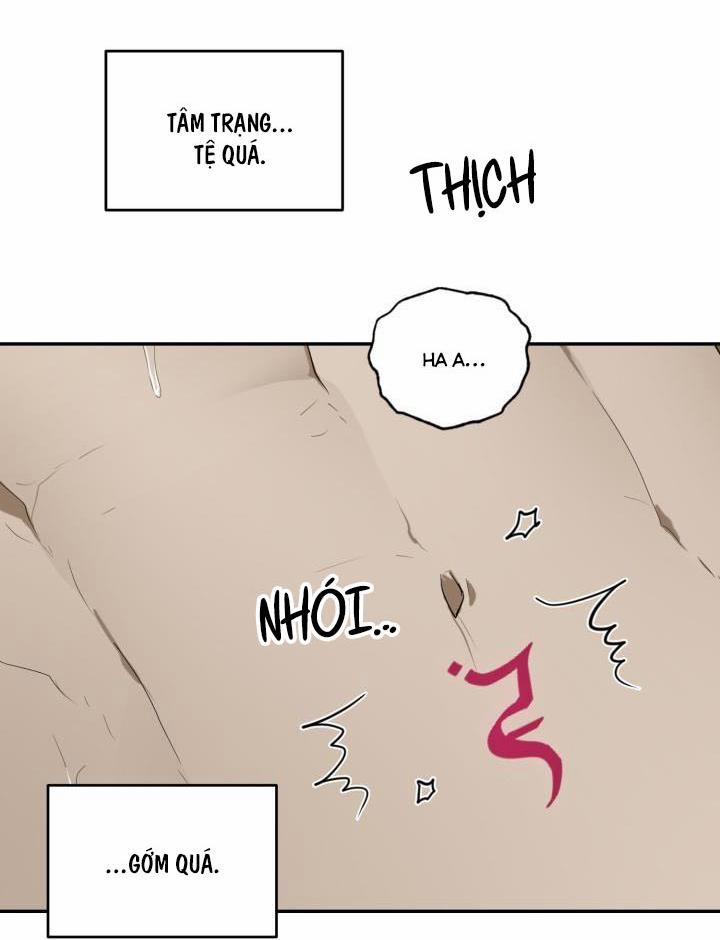 Vivarium 51 trang 28