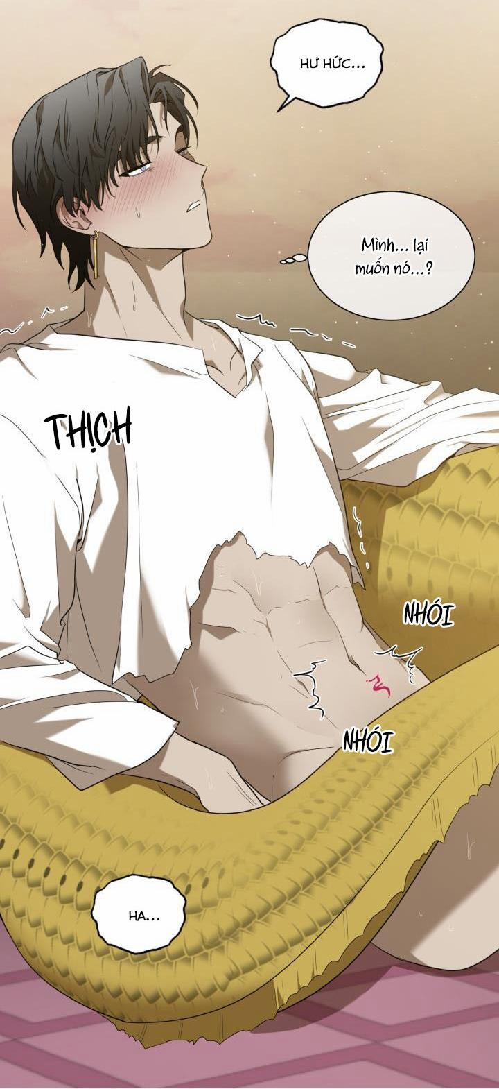 Vivarium 51 trang 30