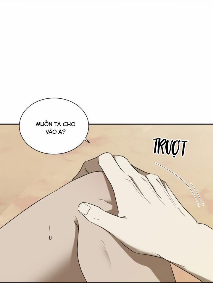 Vivarium 51 trang 31