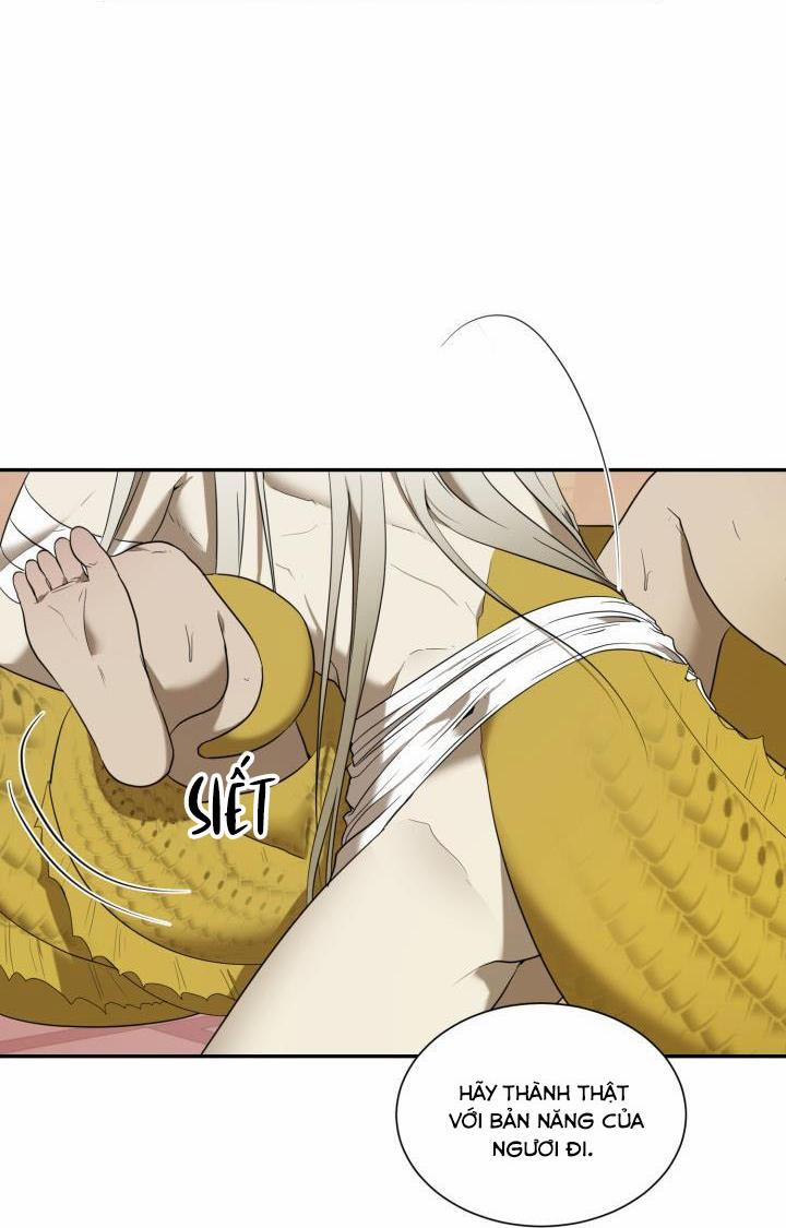 Vivarium 51 trang 33