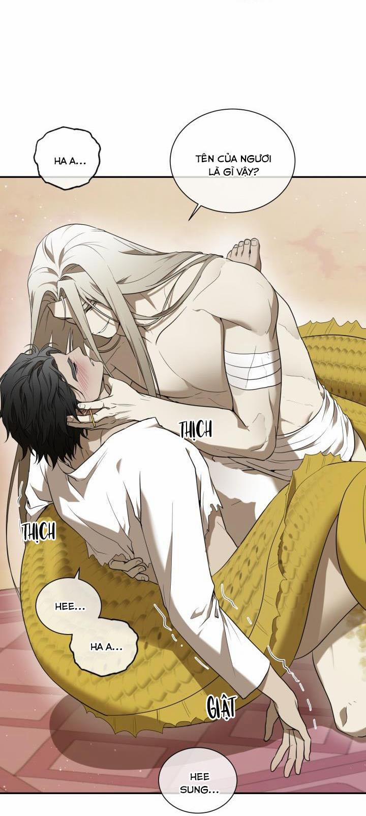 Vivarium 51 trang 34