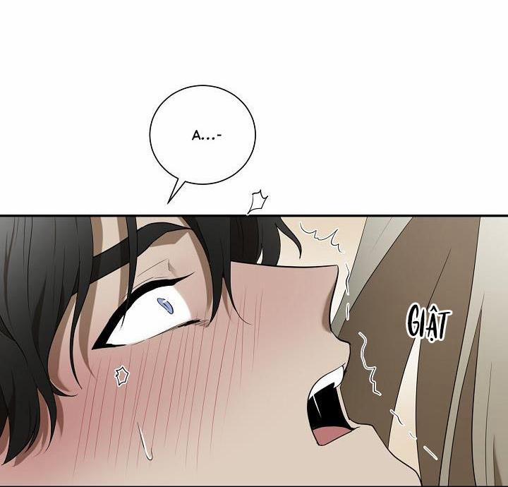 Vivarium 51 trang 37