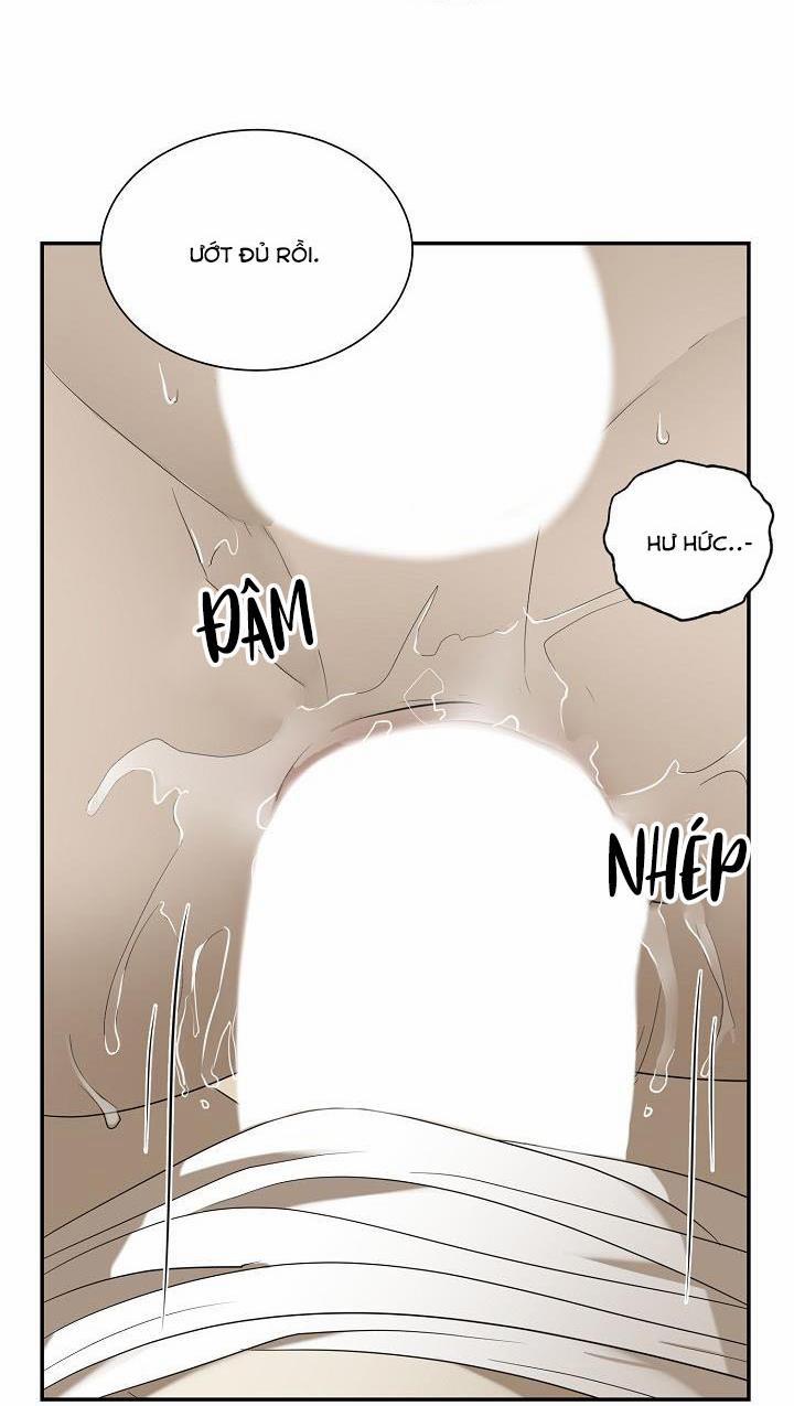 Vivarium 51 trang 39