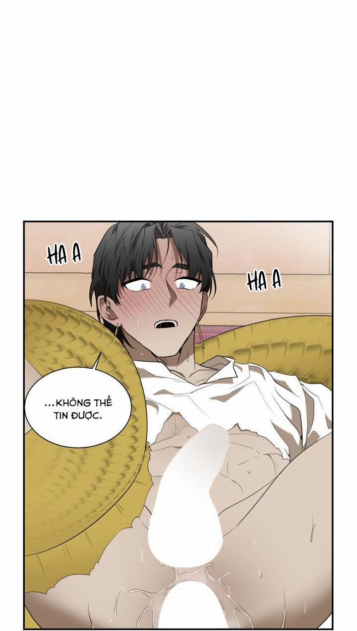 Vivarium 51 trang 40