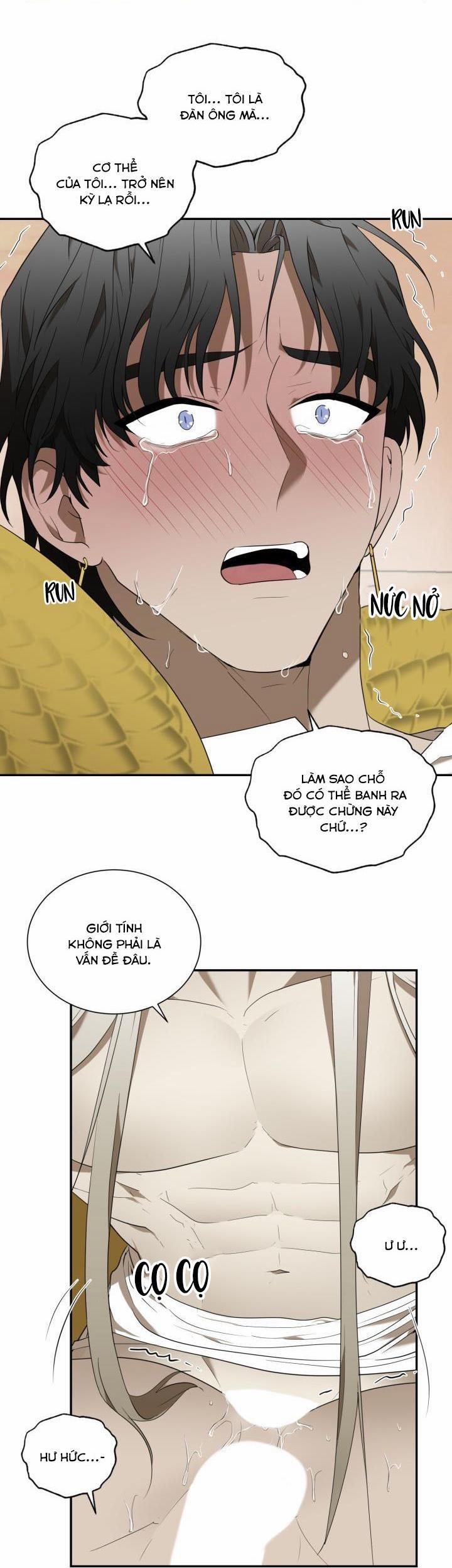 Vivarium 51 trang 41