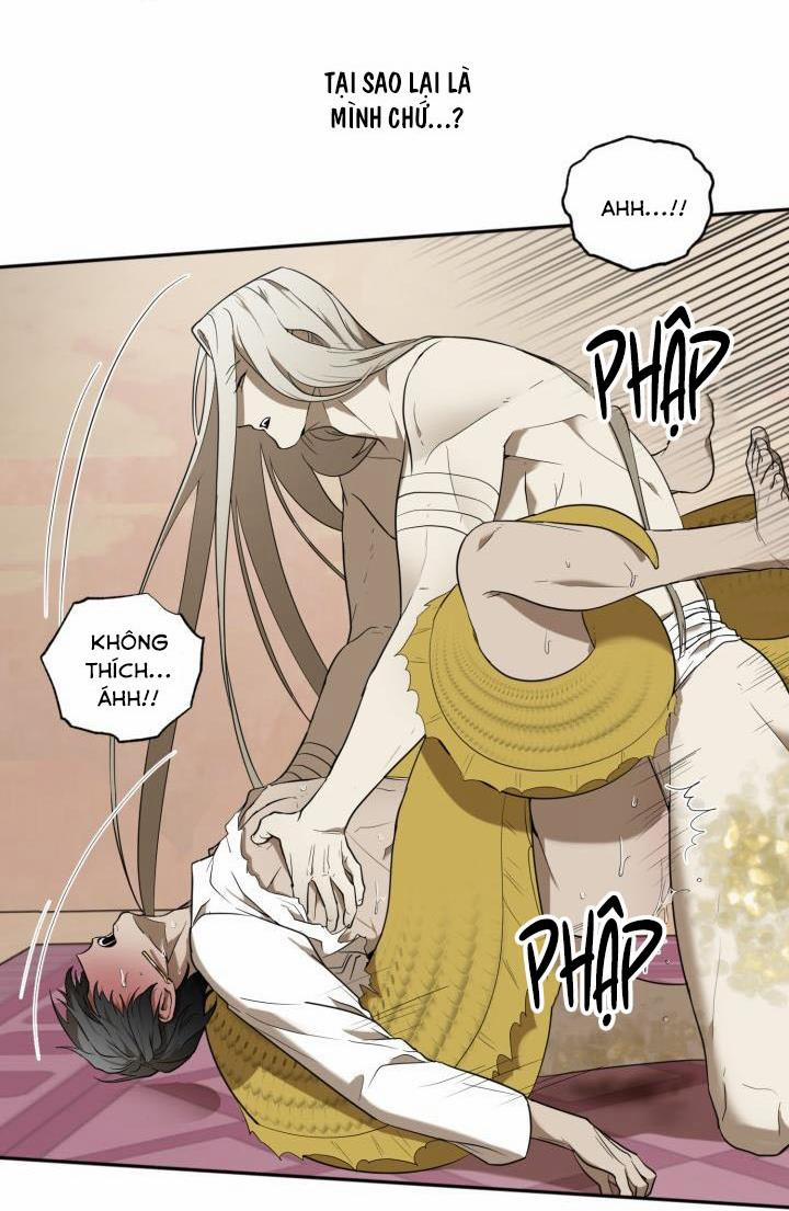 Vivarium 51 trang 45