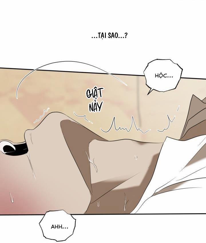 Vivarium 51 trang 46