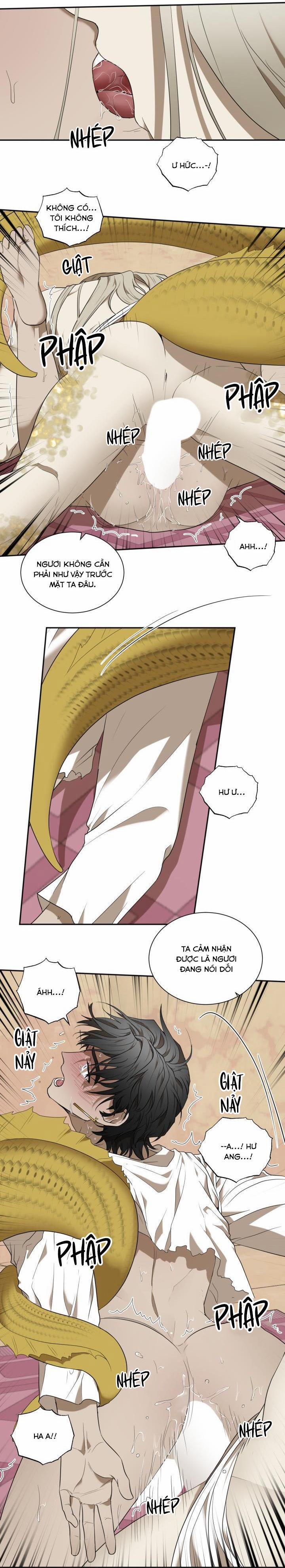 Vivarium 51 trang 50