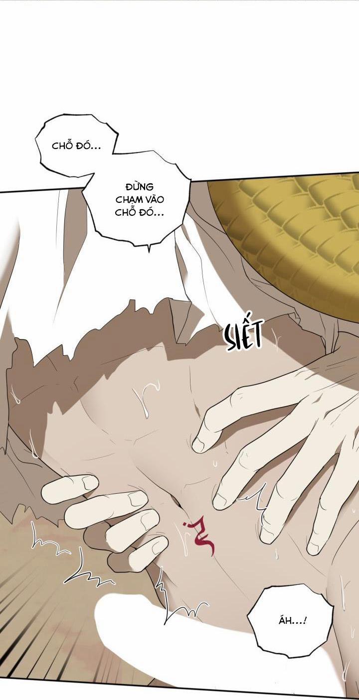 Vivarium 51 trang 51