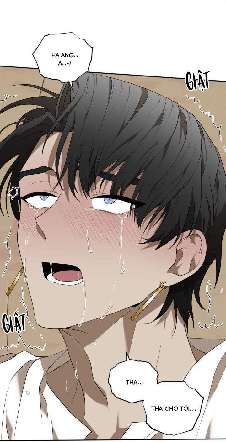 Vivarium 51 trang 52