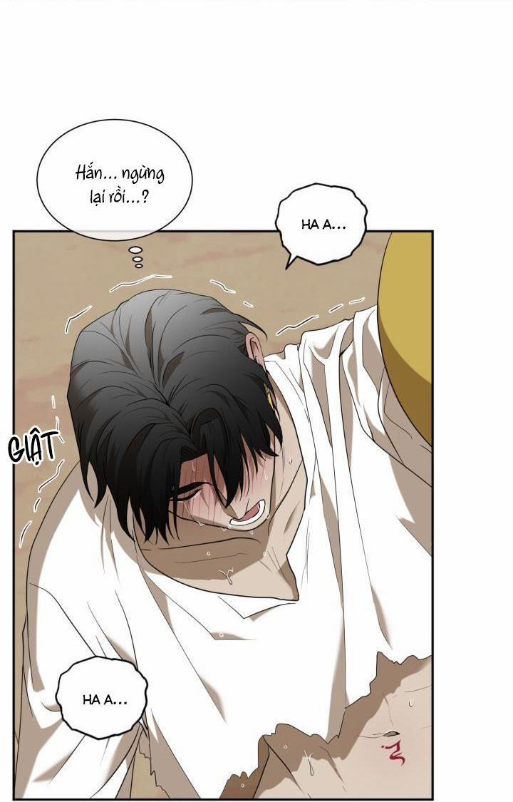 Vivarium 51 trang 55