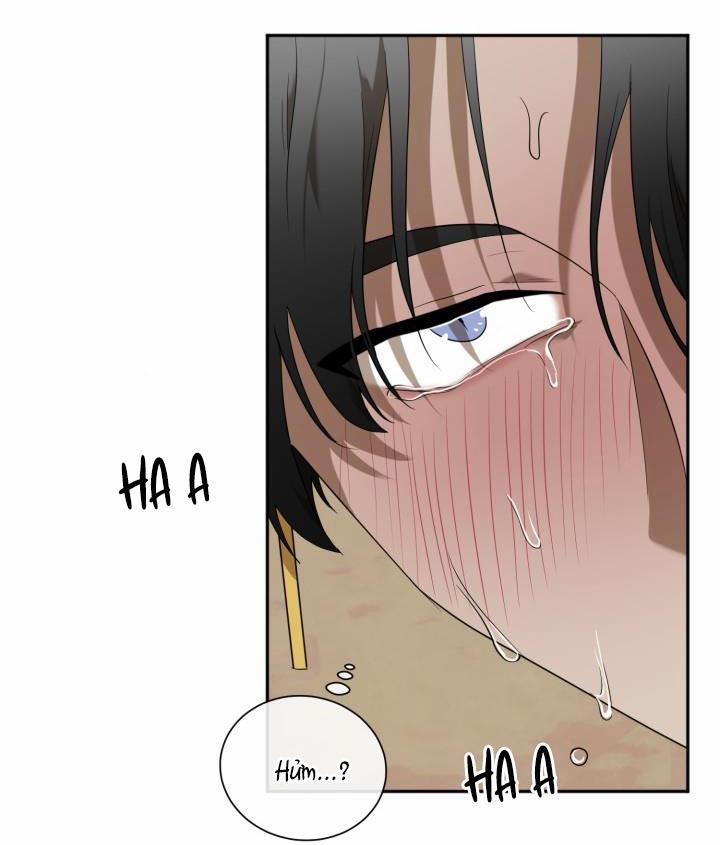 Vivarium 51 trang 57