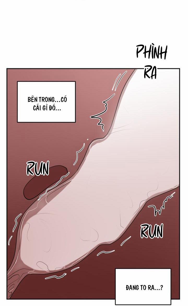 Vivarium 51 trang 58