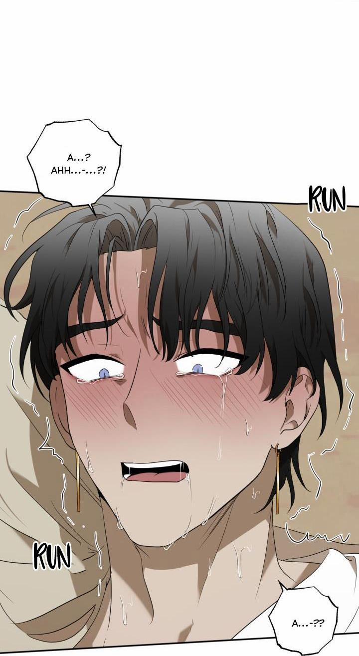 Vivarium 51 trang 60