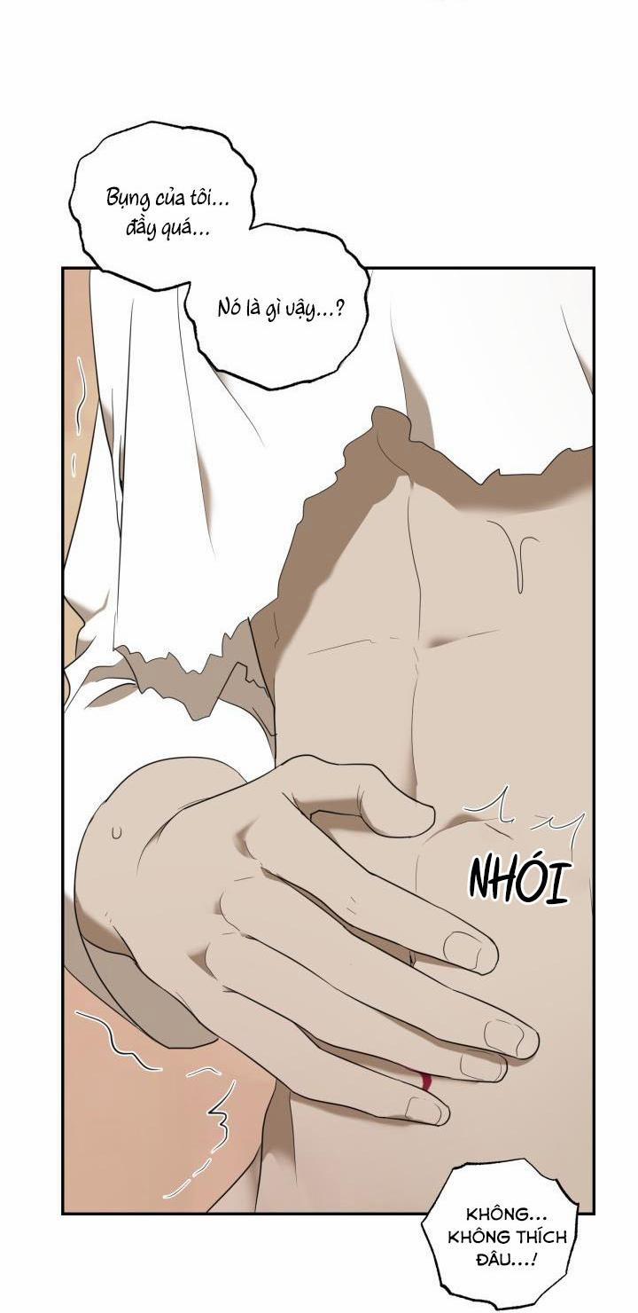 Vivarium 51 trang 62