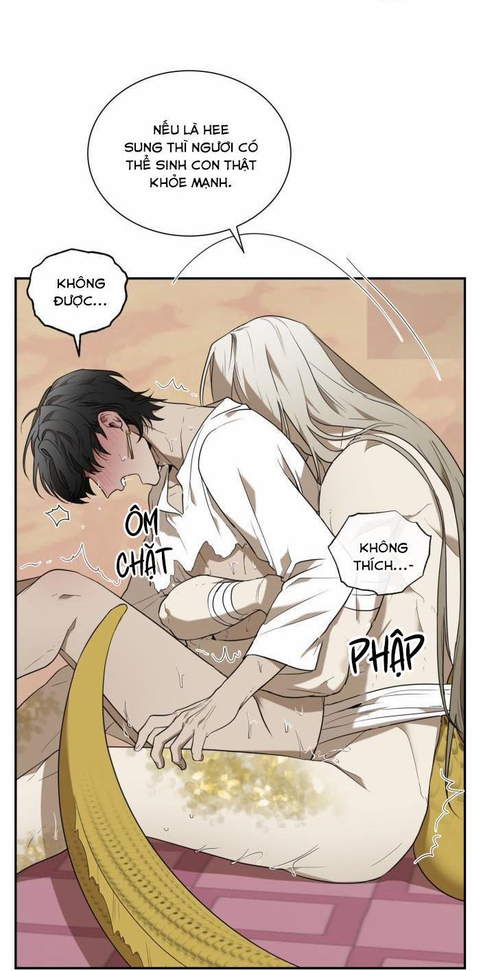 Vivarium 51 trang 63