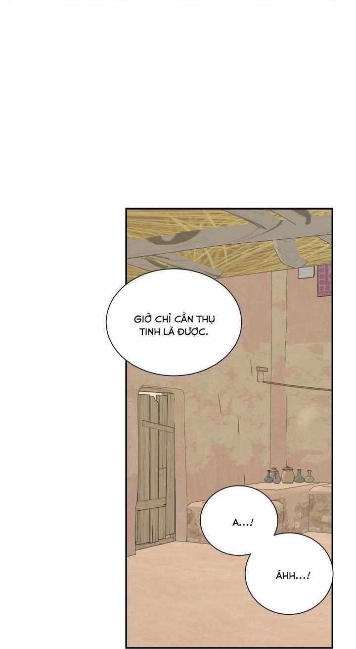 Vivarium 51 trang 64