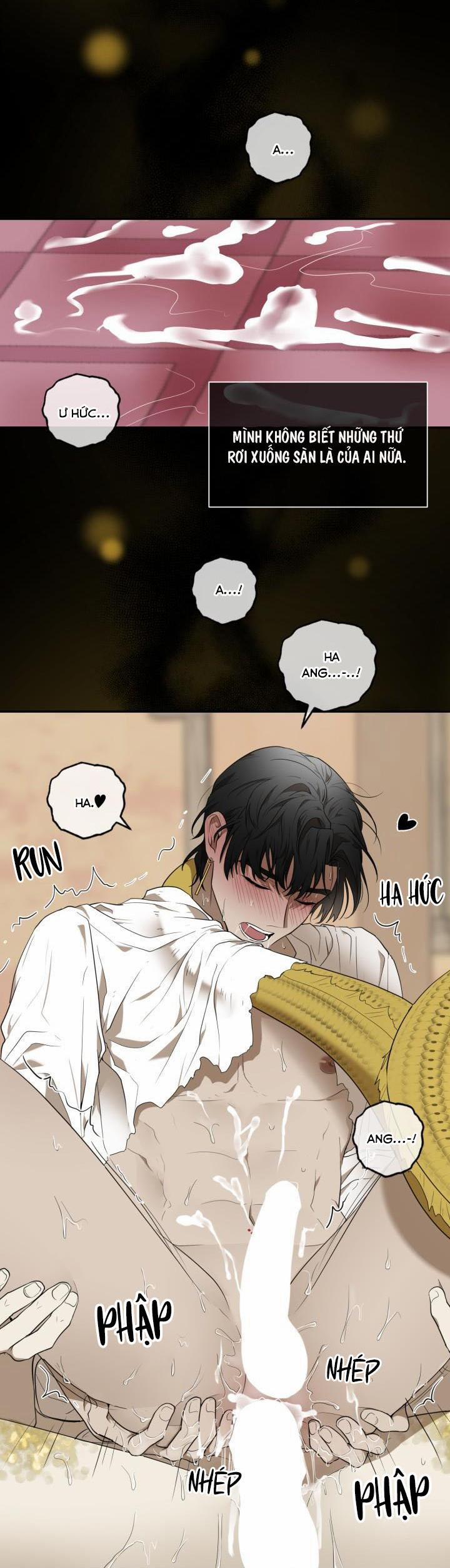 Vivarium 51 trang 67