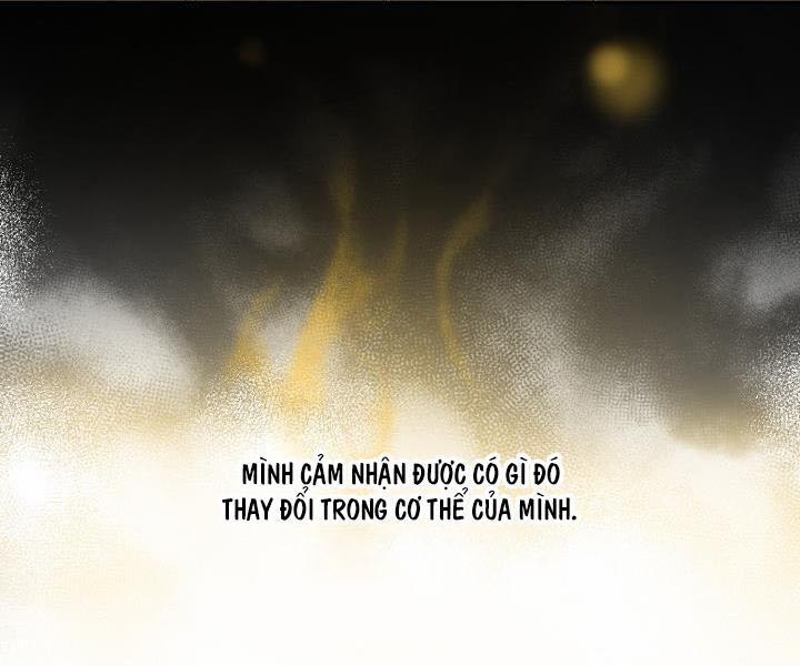 Vivarium 51 trang 68