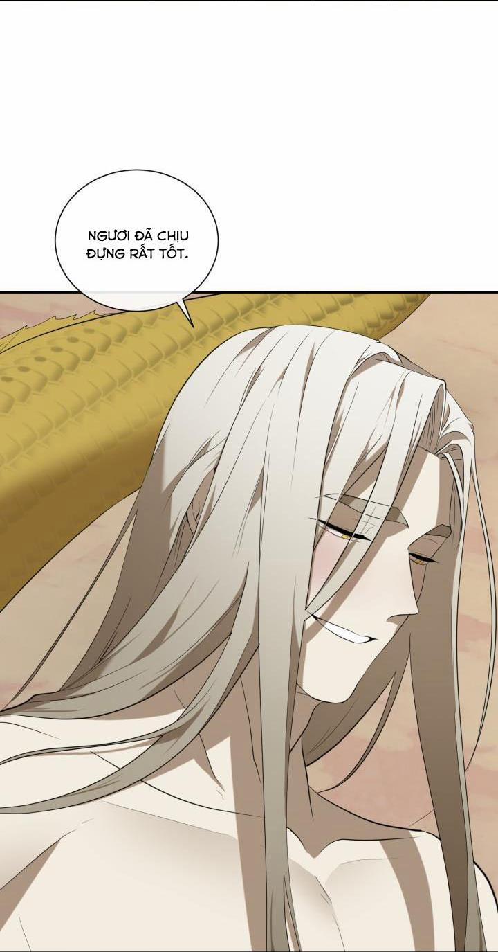 Vivarium 51 trang 71