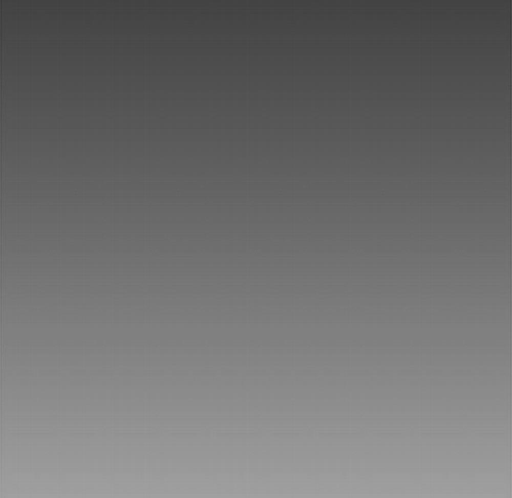 Vợ Chồng Mới Cưới 48 trang 4