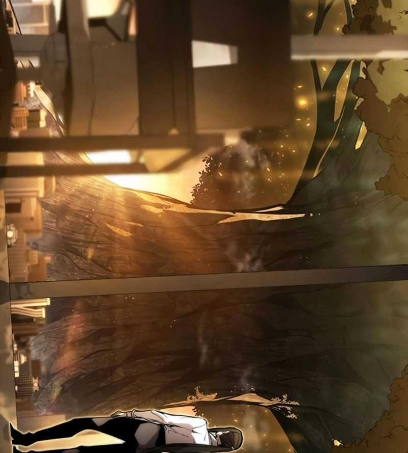 Vô Hạn Tử Linh Sư 88 trang 13