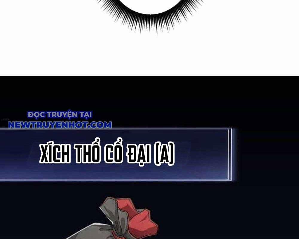 Vô Song Cùng Với Vũ Khí Ẩn 29 trang 222