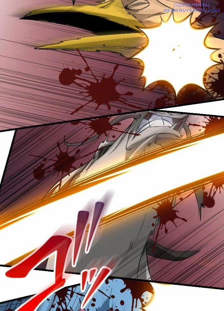 Vô Song Cùng Với Vũ Khí Ẩn 46 trang 13