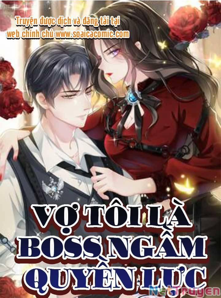 Vợ Tôi Là Boss Ngầm Đầy Quyền Lực 1 trang 0
