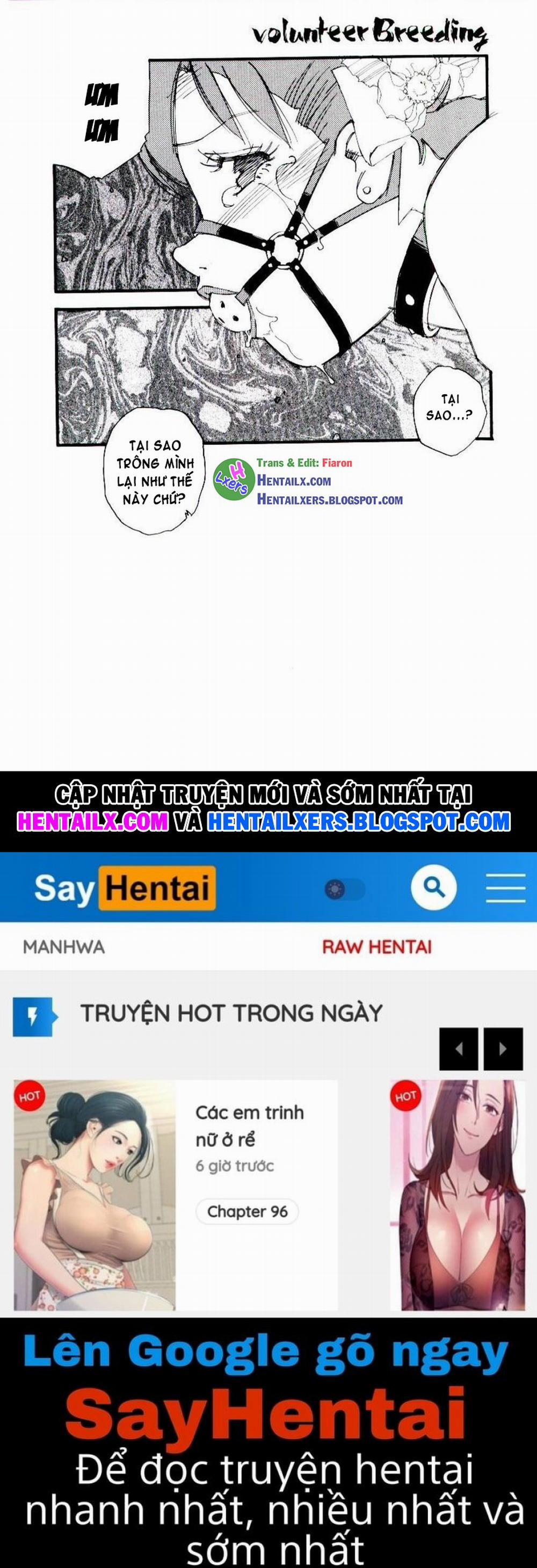 Volunteer Breeding 4 trang 19